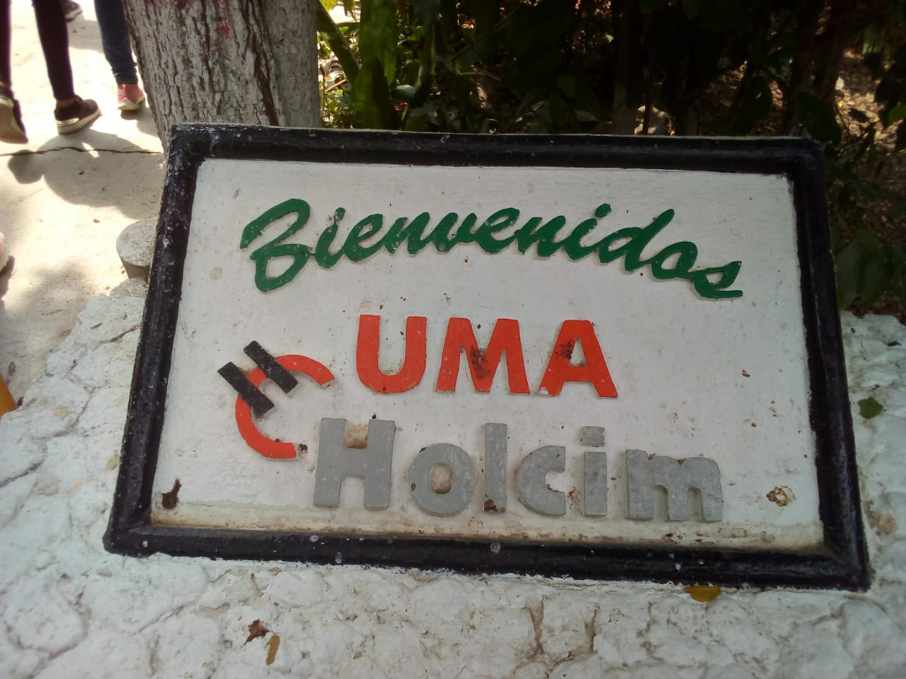 CONABIO 3.jpg